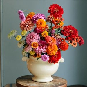 Meet your Posher, Diane